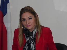 Provincia de Linares: Gobierno dispone transporte gratuito para sectores rurales este domingo