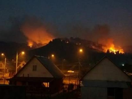 Zona de catástrofe en el Maule: bomberos trabajan intensamente para controlar las llamas en Nirivilo y Hualañé